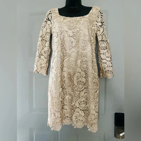 White House  & black Market brand Champagne Lace 3/4 Sleeve Mini Dress - Picture 4 of 10